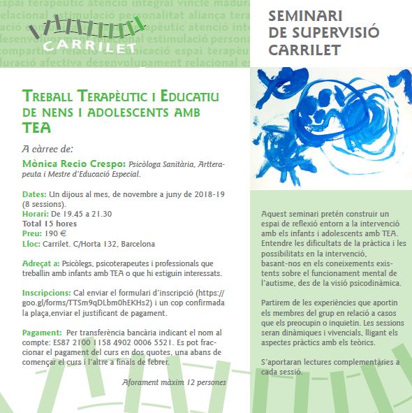 Seminari supervisió treball terapèutic i educatiu amb infants i adolescents amb TEA