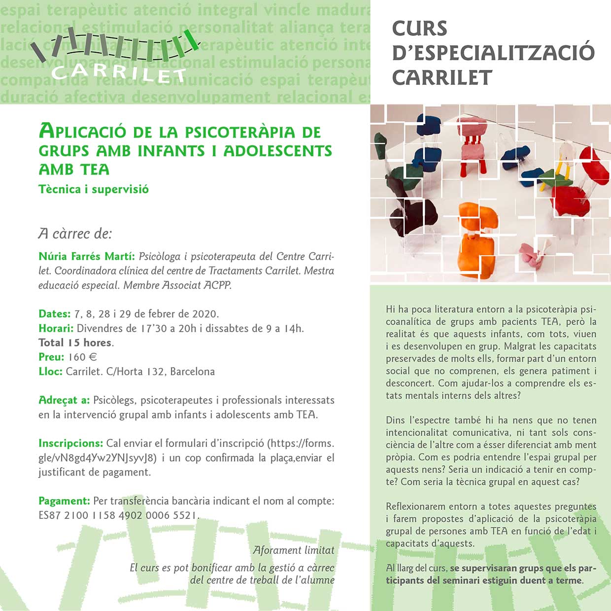 Psicoterapia de grups i TEA