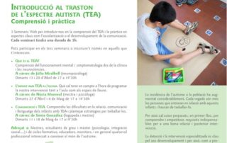 Carrilet Seminaris Web que es TEA