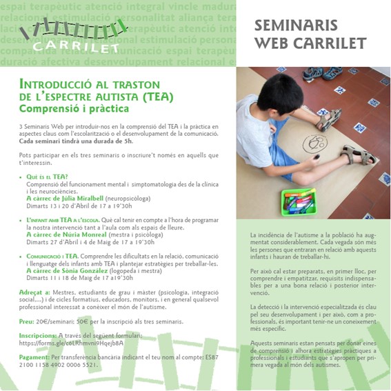 Carrilet Seminaris Web que es TEA