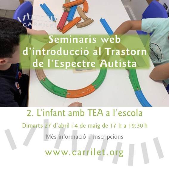 Carrilet SeminariWeb_2 TEA a escola2