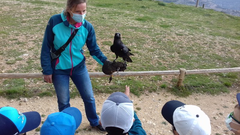 zoo pirineus4