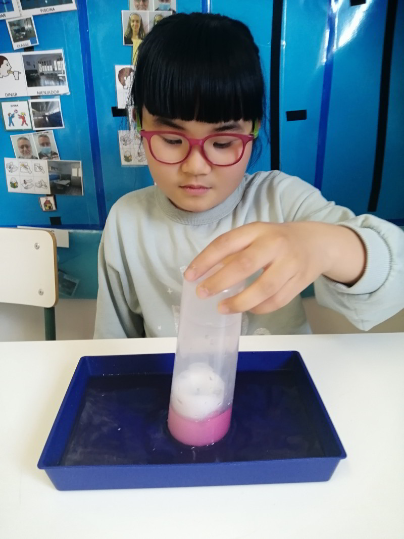 Taller Experiment Peix_1