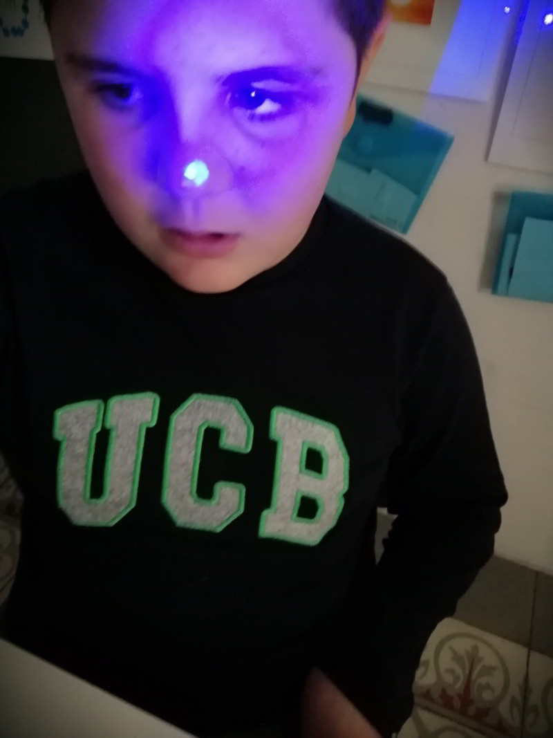 Taller Experiment Peix_11