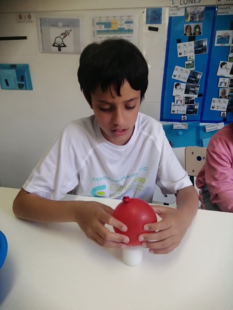 Taller Experiment Peix_2