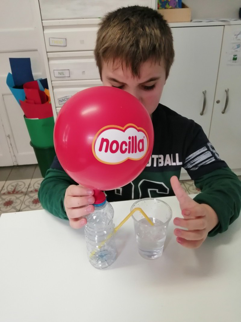 Taller Experiment Peix_7