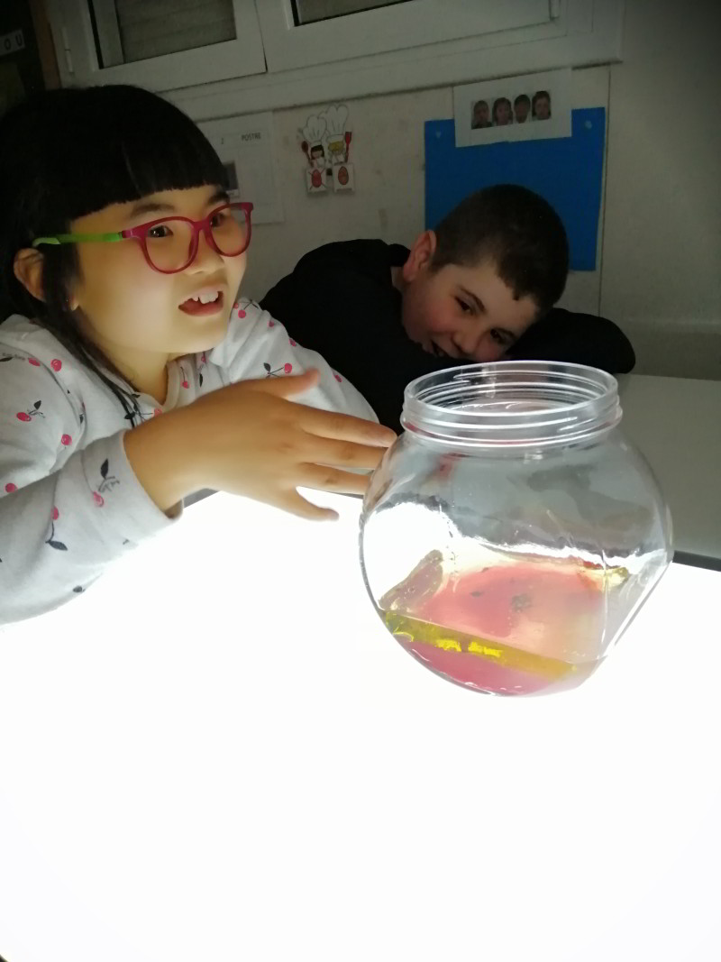 Taller Experiment Peix_8